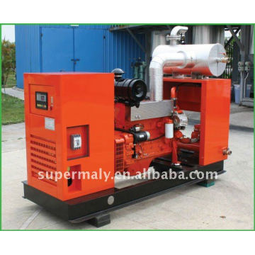 Green Power Biogas Motor Generator